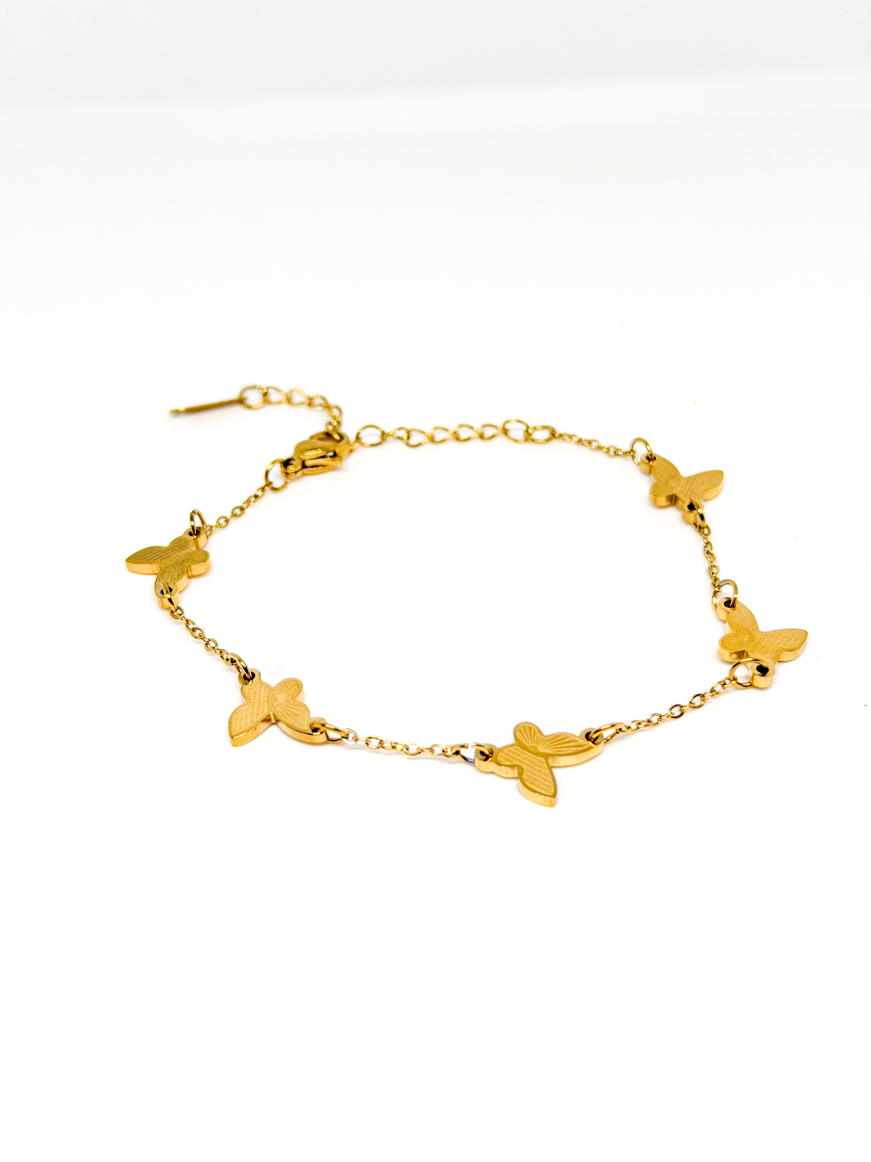Dainty Papillon B